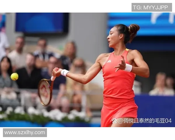 北京网球队在全国网球技术排行榜中荣获第八名的佳绩引发关注