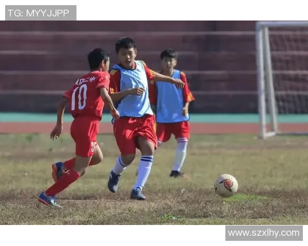横店足球明星盘点及其在影视圈的精彩表现与成就分析