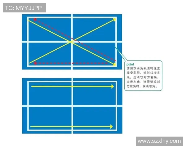 深圳乒乓球队在锦标赛中的耐力表现与战术分析