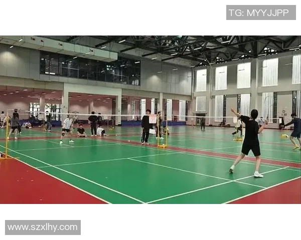 南京羽毛球队的意识提升与团队精神探讨聚焦羽毛球运动的未来发展 南京羽毛球队的意识提升与团队精神探讨聚焦羽毛球运动的未来发展